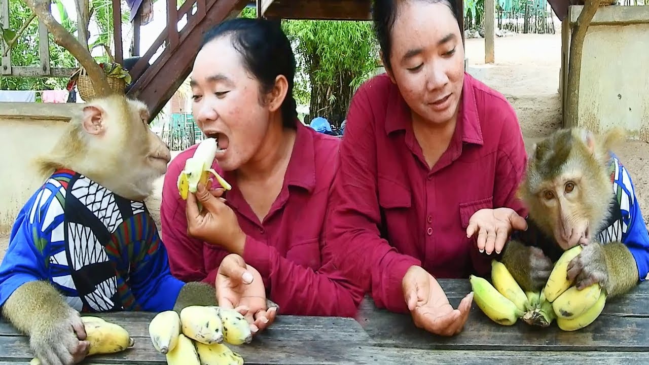OMG SokYaa Prank As Angry So Horrible At Home