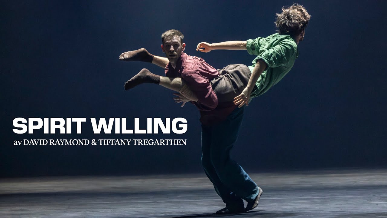 Spirit Willing, by David Raymond and Tiffany Tregarthen