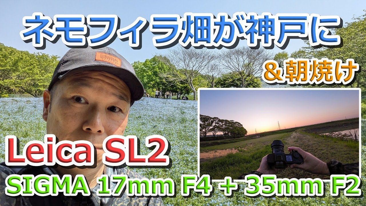 人生初 ネモフィラ畑 といつもの朝焼け Leica SL2 SIGMA Iシリーズ