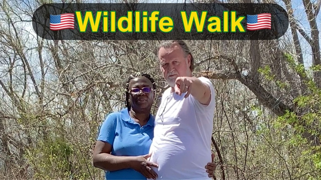 Wildlife Walk at Wetlands Park | Aurora, Colorado Adventure