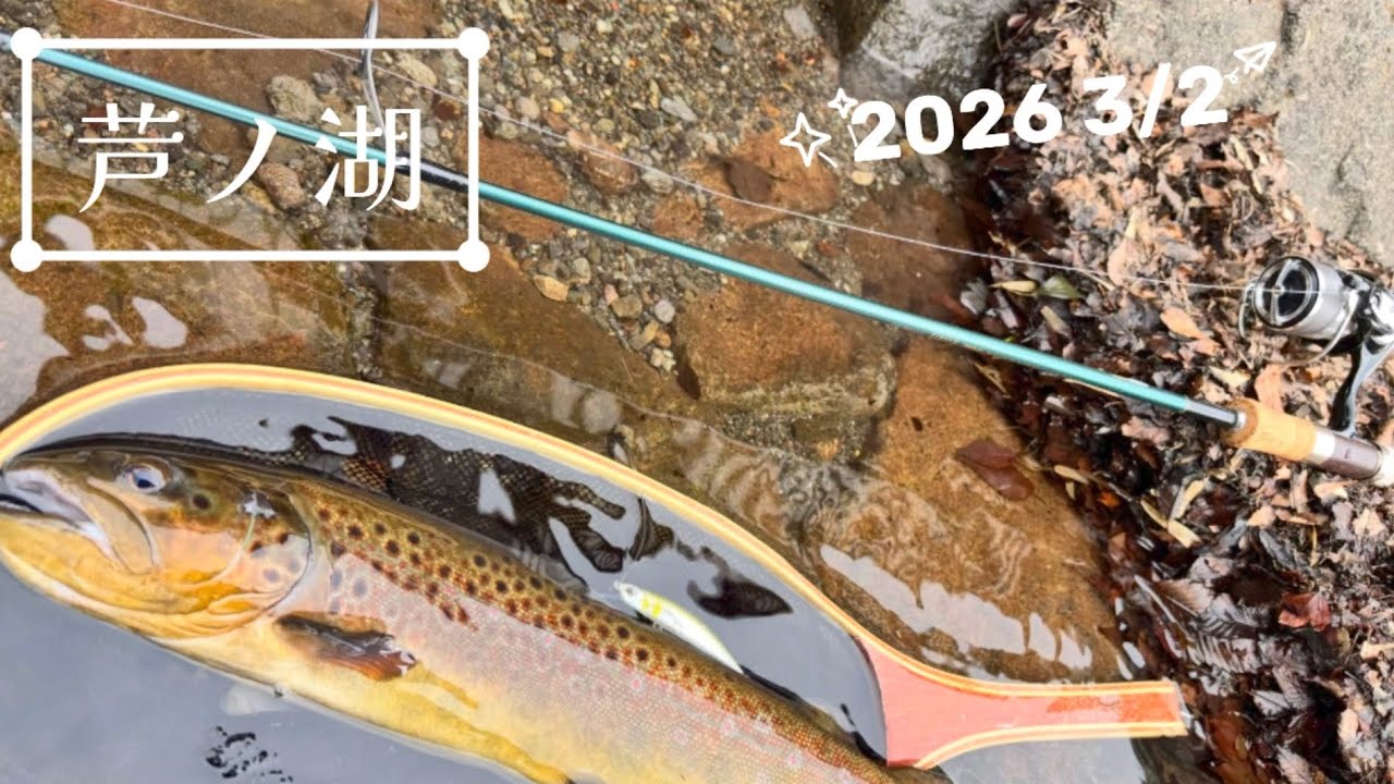 2026年 芦ノ湖　解禁