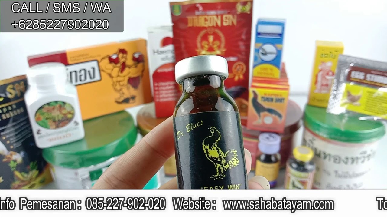 LAGI PENGIN EASY WIN 2? HUB.081-225-969-741/WWW.SAHABATAYAM.COM