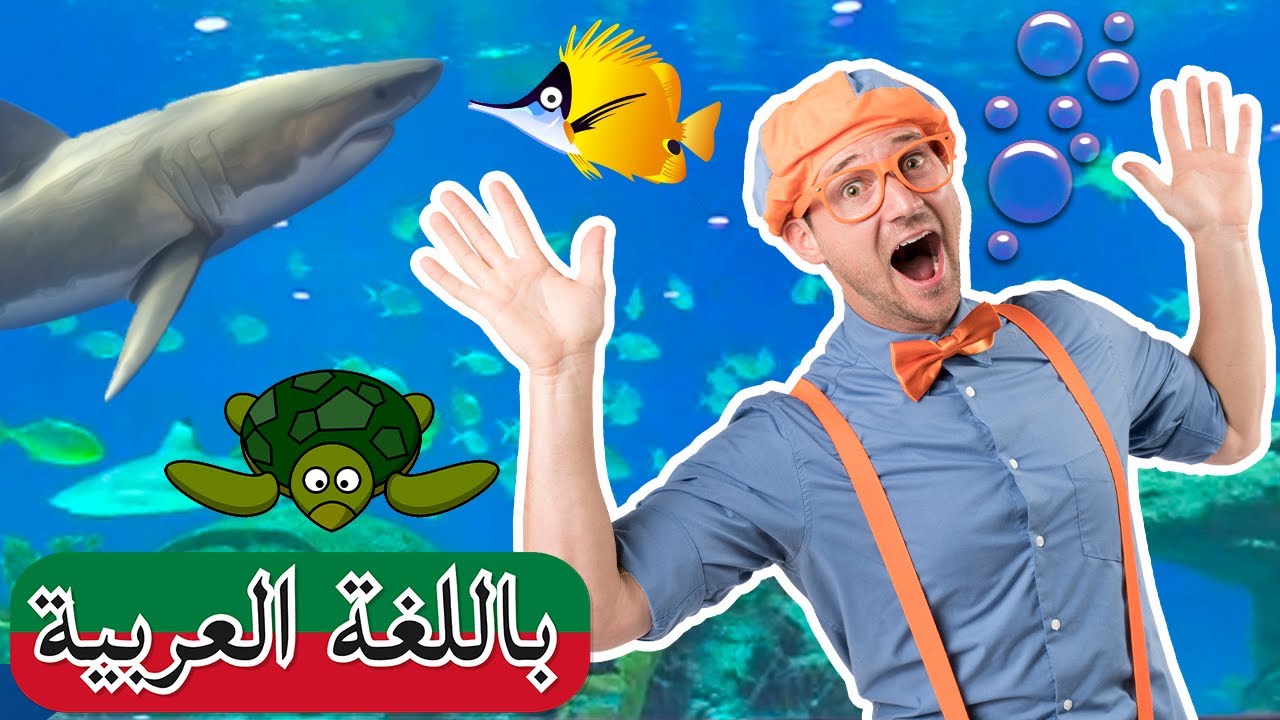 Arabic Blippi |  بليبي يزور حوض سمك - عالم البحار | افلام اطفال بليبي | برامج اطفال بليبي |