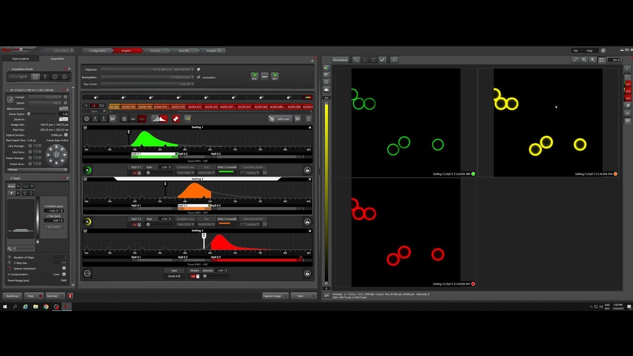 Leica LasX - How to take a Z-stack on a Stellaris confocal