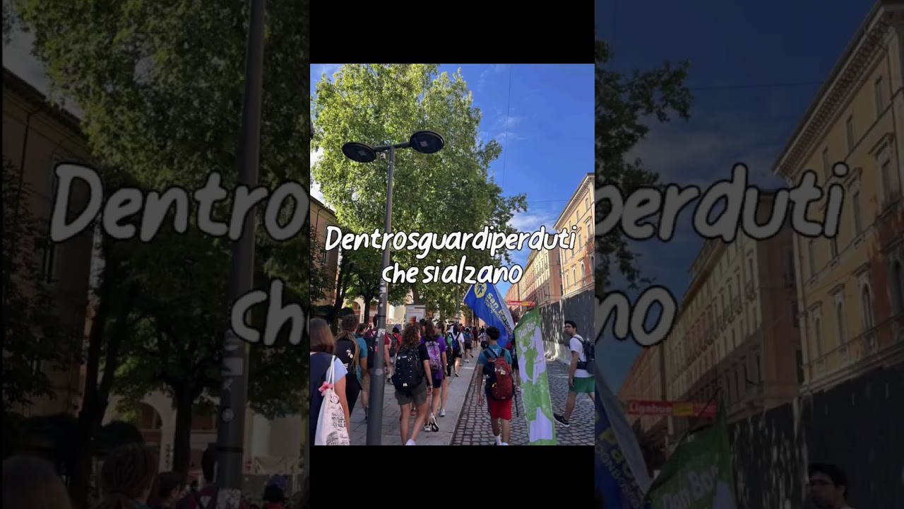 Abbiamo visto l'amore (Pellegrini di speranza) Testo