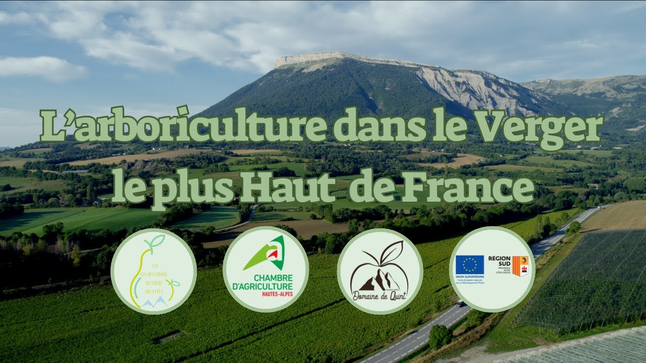 Au cœur des vergers : Rencontre avec deux frères arboriculteurs et passionné