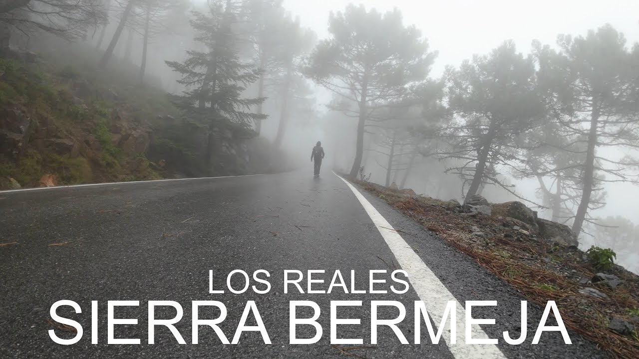 Los Reales Sierra Bermeja con niebla