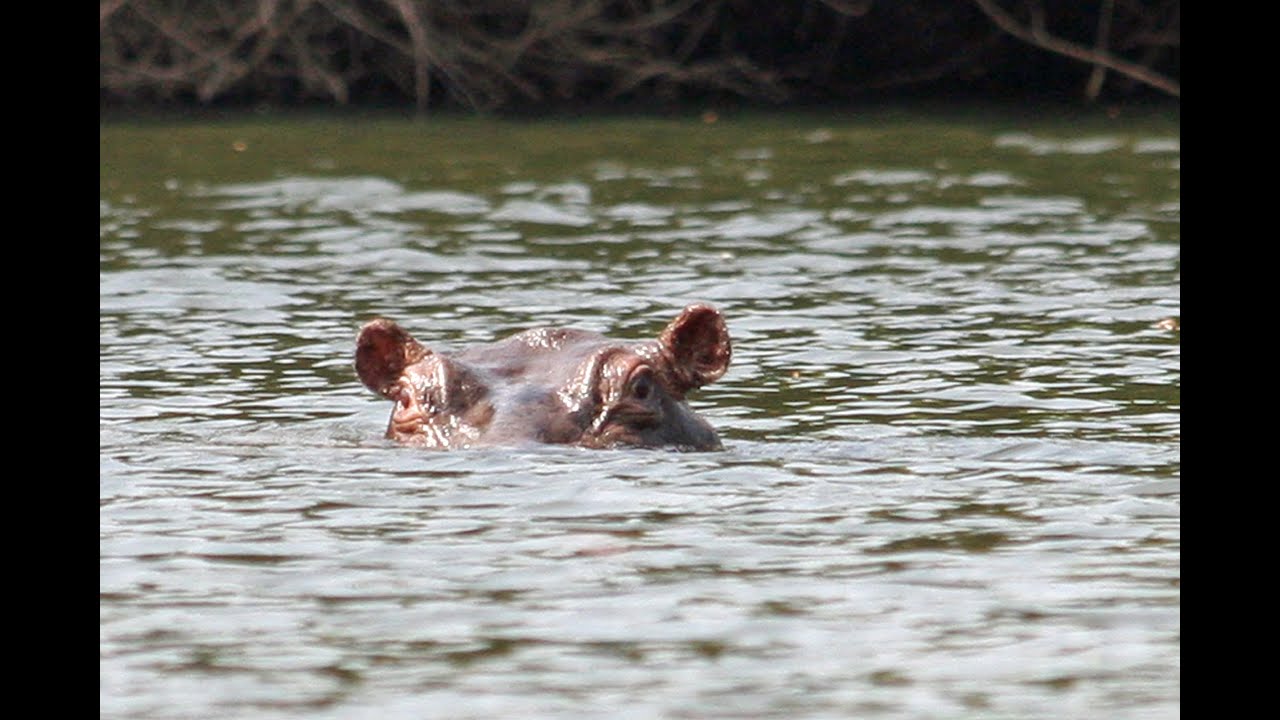 Otamba Kilimi National Park