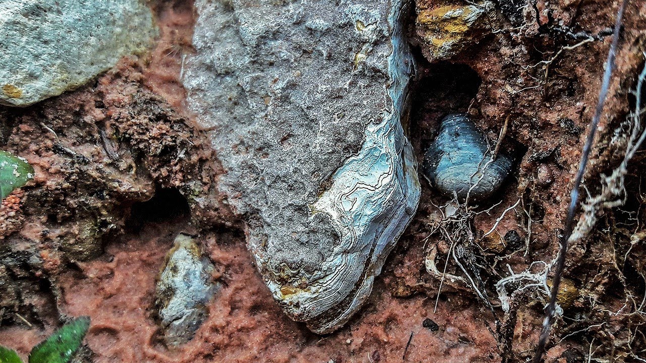 Rockhounding Chalcedony Agate |  Found Agate Geodes