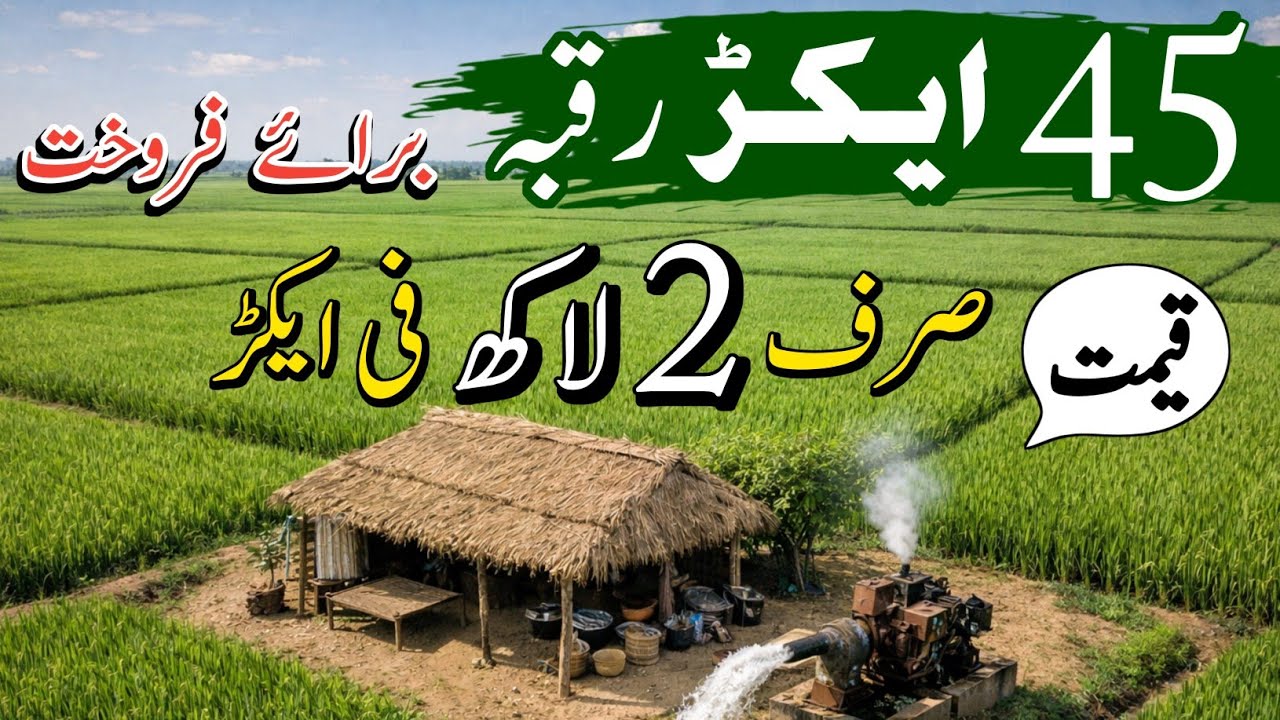 45 Acres Agriculture Land for Sale in Punjab Pakistan | Farming Land | Episode 183