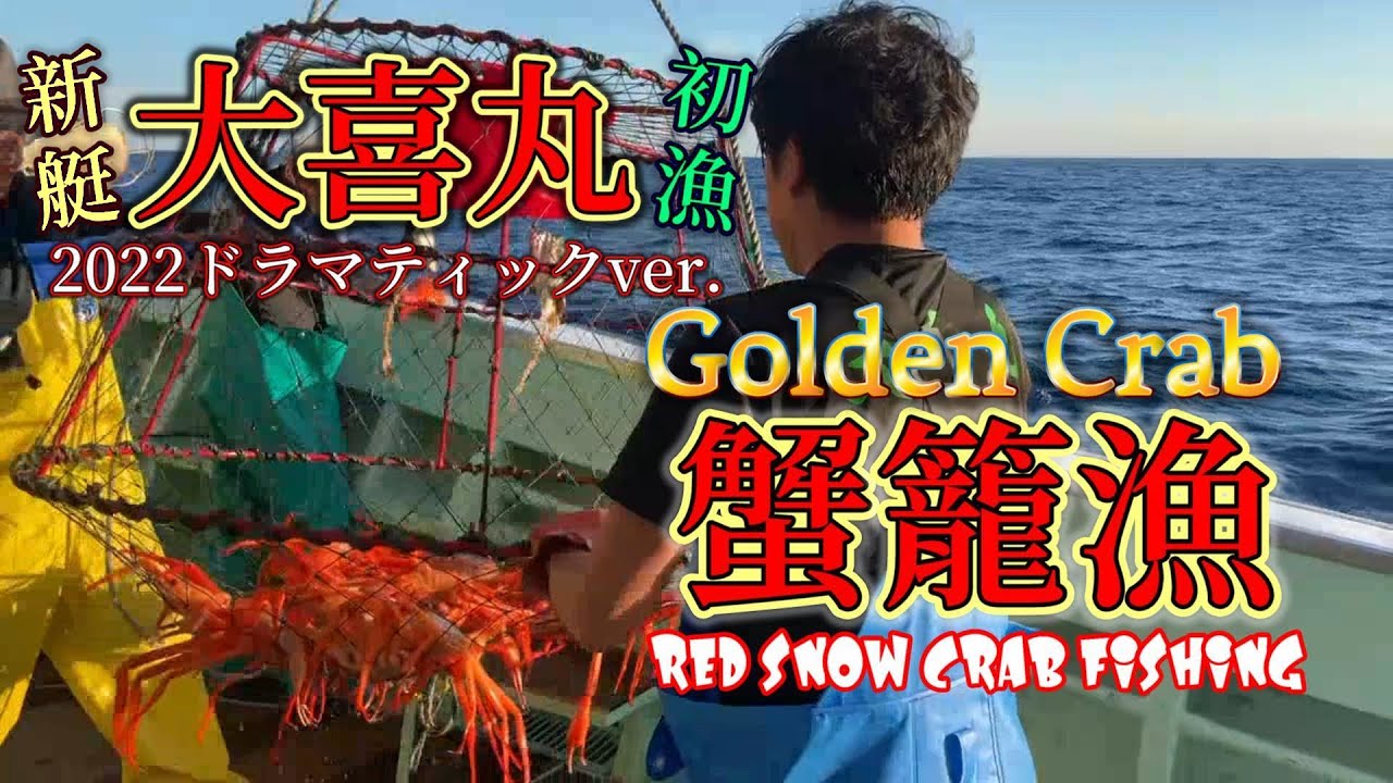 【密着！かに籠漁】解禁直後の初漁やいかに⁉【越前漁港の大喜丸】