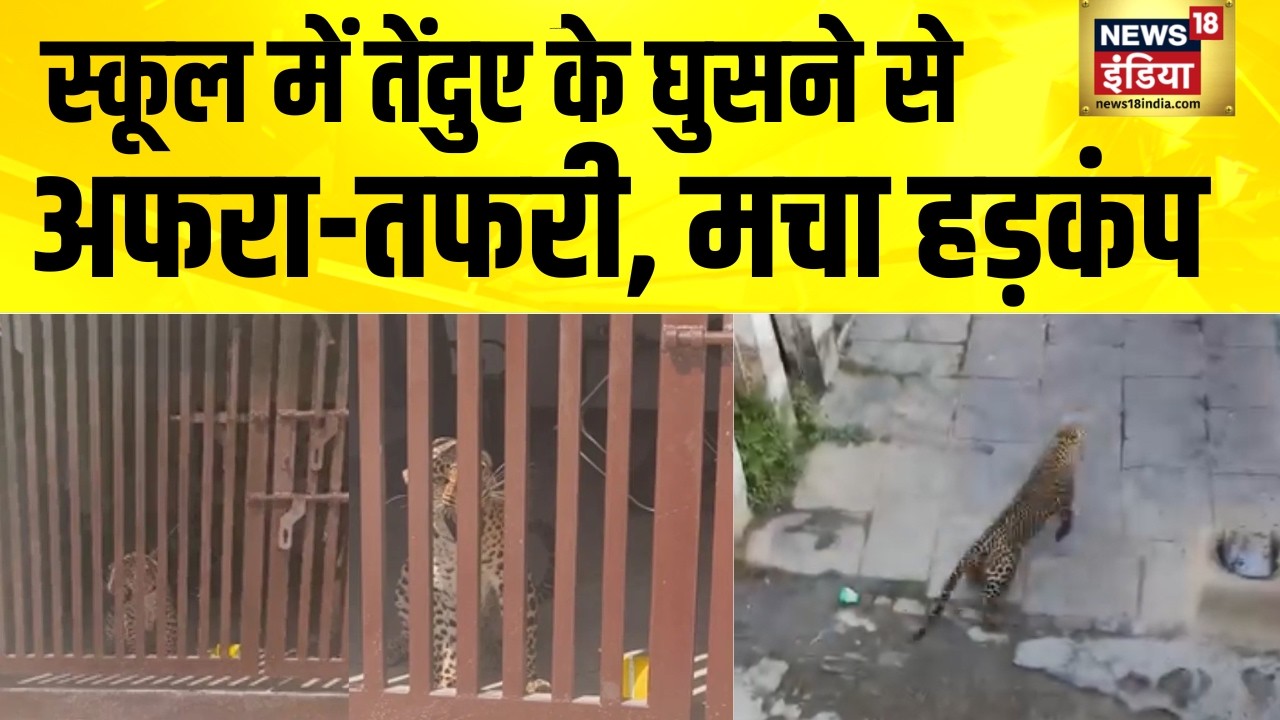 स्कूल में तेंदुए के घुसने से अफरा-तफरी, मचा हड़कंप | Ghaziabad | UP News | Leopard in School