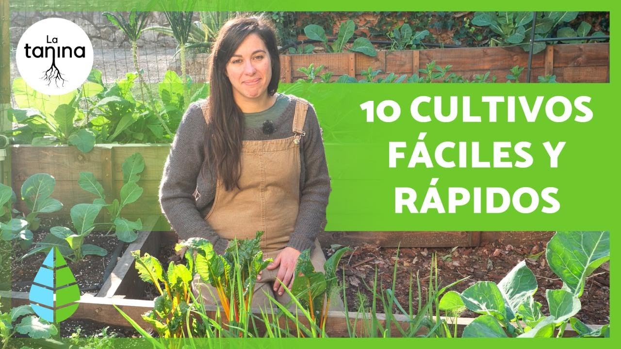10 CULTIVOS RÁPIDOS para empezar en el HUERTO 🍅✅