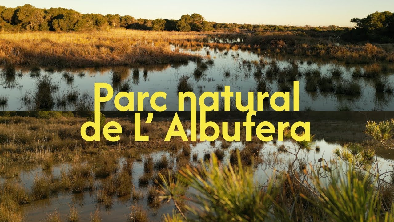 PARC NATURAL DE L' ALBUFERA - stunning natural park just 30 minutes from the city center of Valencia