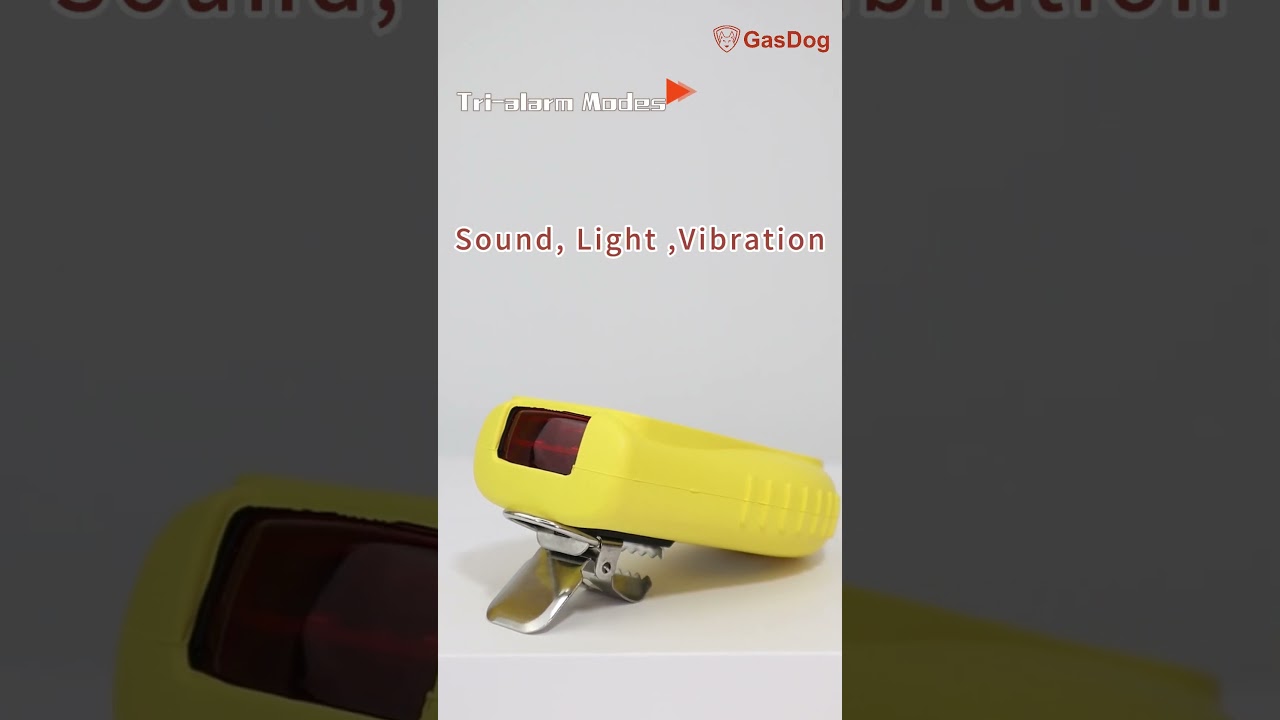 Mini-sized Portable Multi Gas Detector 