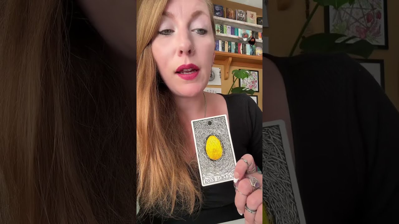 Someone has a lot to say to you! 🗣️🗣️🗣️Timeless LOVE Reading🗣️🗣️🗣️