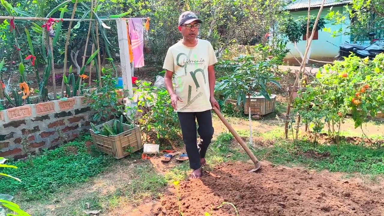 সুতাকৃমি বা নেমাটোডা হাত থেকে গাছকে রক্ষা করা।🌿#viral #gardening #nematode  #agriculture