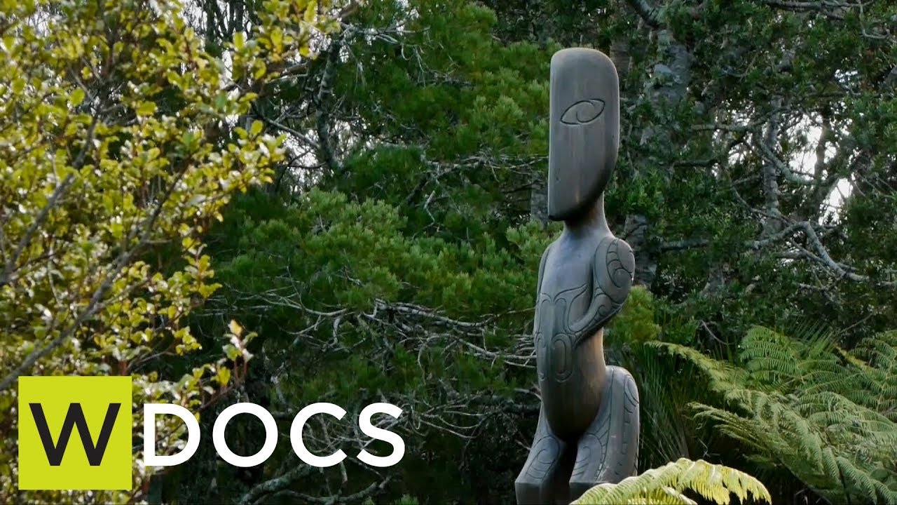 Wireless Docs: The Forest of Tiriwa