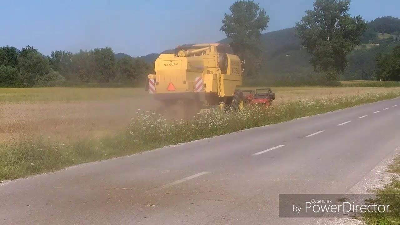 Žetev pšenice