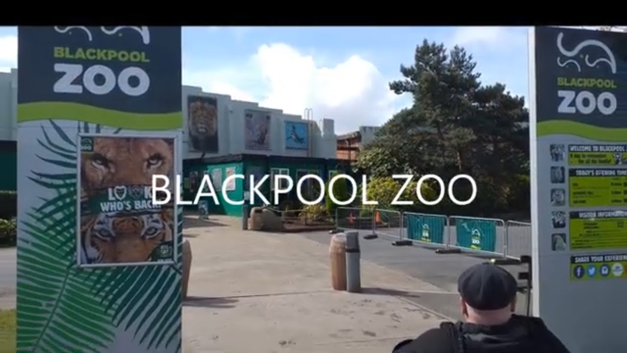 Exploring The Wonders Of Blackpool Zoo!