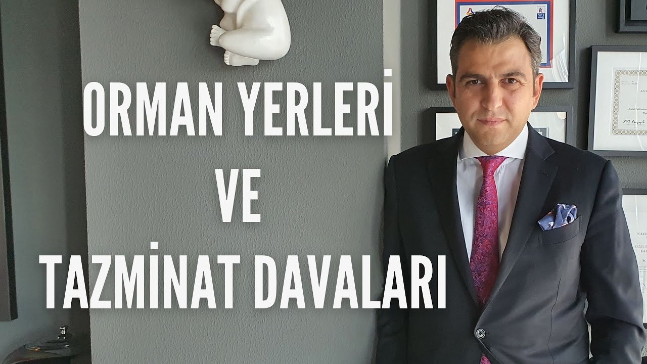ORMAN YOLUYLA KAMULAŞTIRMASIZ EL ATMA