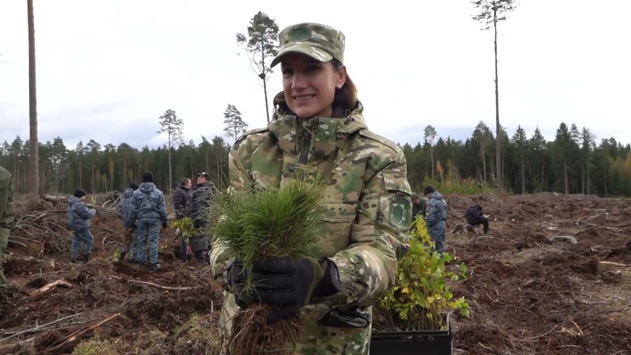 В Воложинском районе прошла акция «Дай лесу новае жыццё»