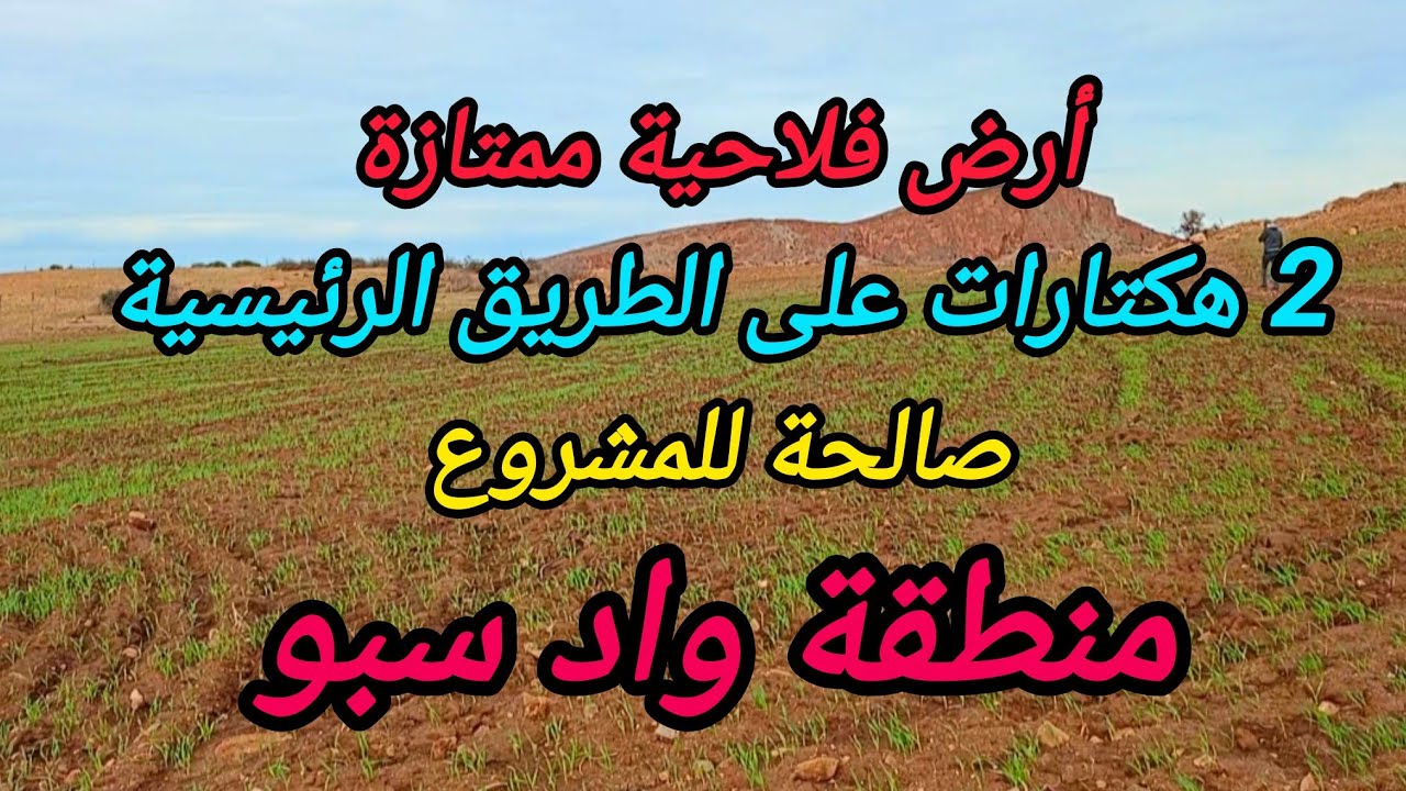 2026-1-2 : تقريبا 2 هكتارات ملكية على الطريق الرئيسية، الضو ،الماء، قريبة من واد سبو . ☎️ 0652902061