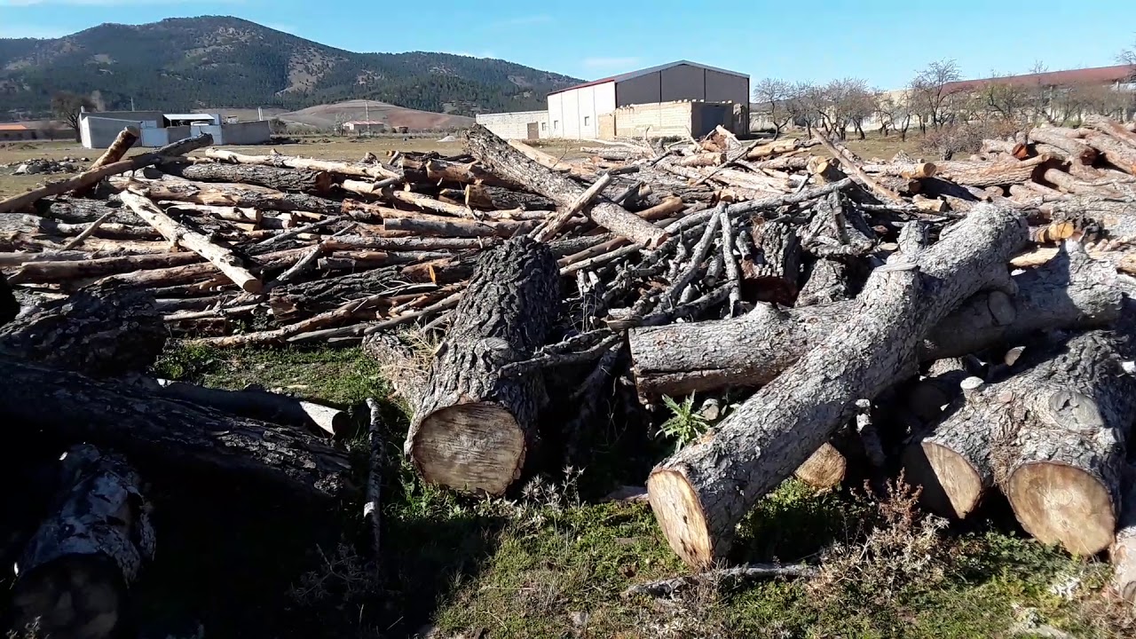 Tala masiva incontrolada en  Cogollos de Guadix