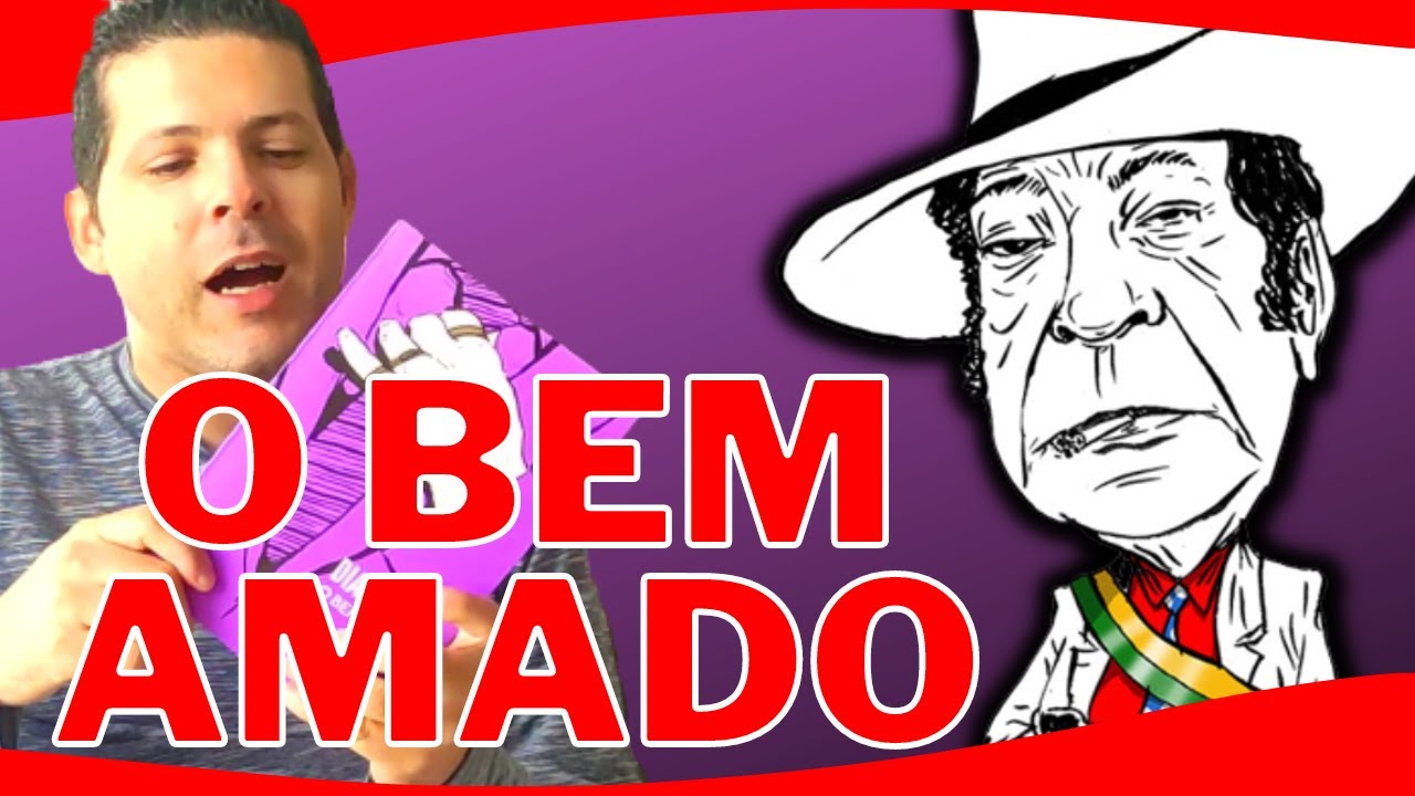 Resumo do livro O Bem Amado
