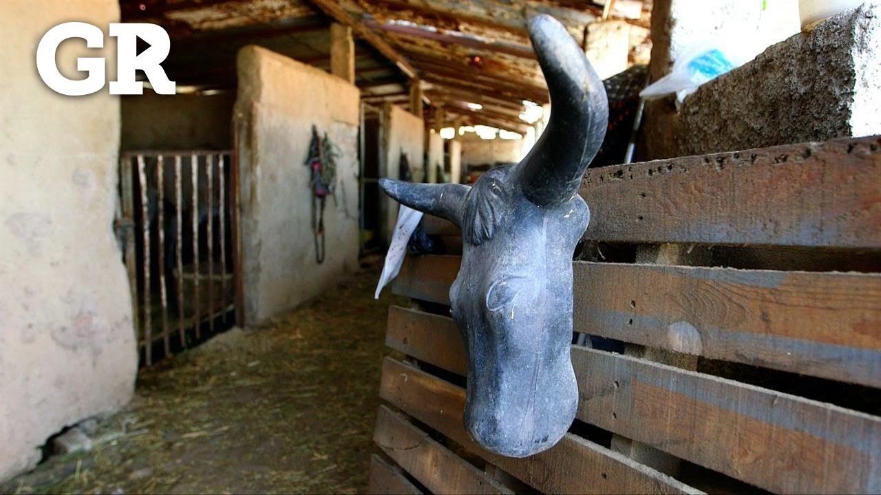 Así es la casa donde creció Vicente Fernández