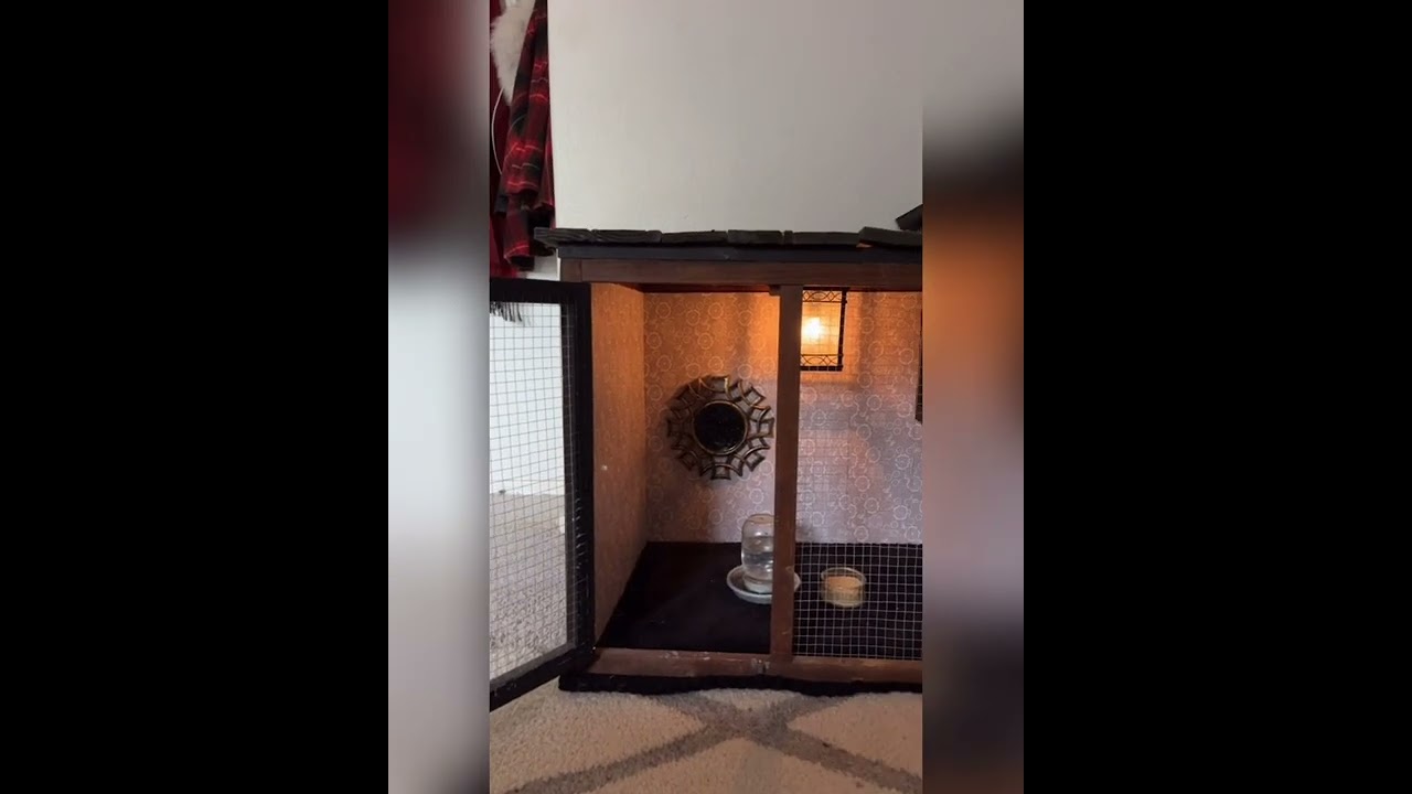 Indoor Chickens!? How do you keep a chicken as a house pet? I&rsquo;ll show you!