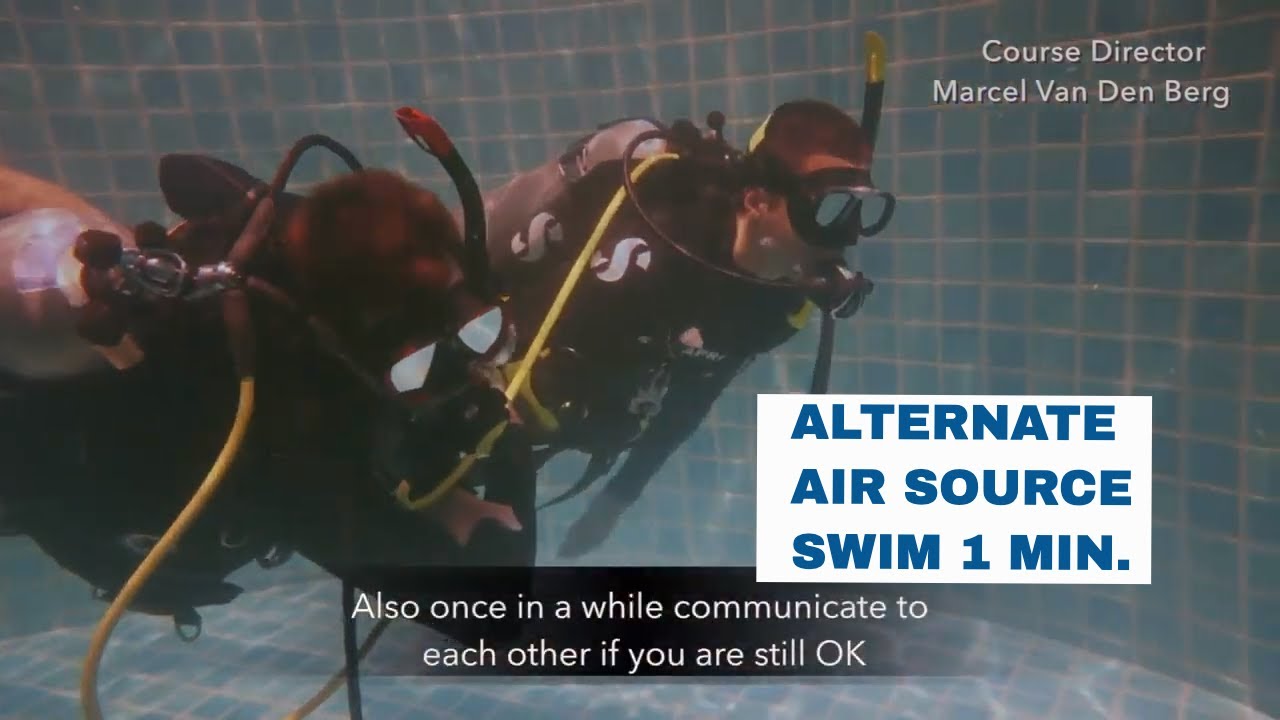 Alternate Air Source Swim for 1 Minute Skill - PADI Open Water Diver Course • Scuba Diving Tips