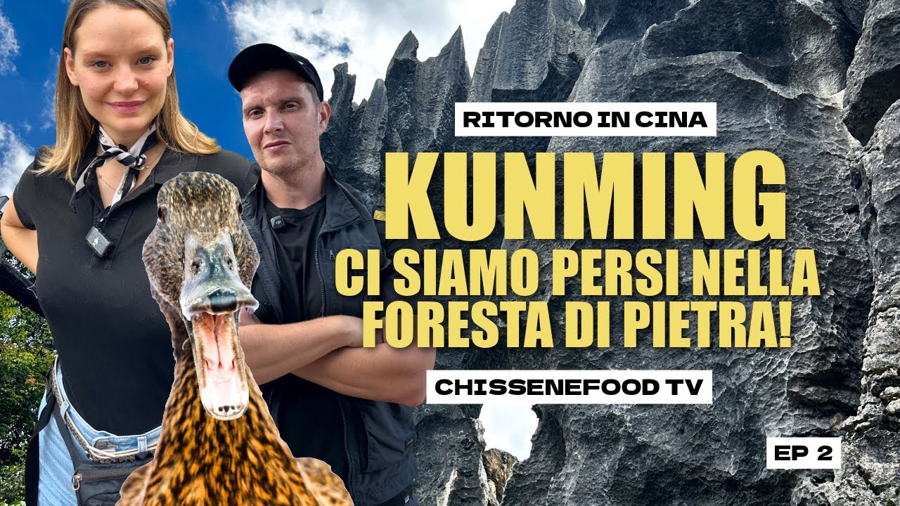 🇨🇳 CI SIAMO PERSI nella FORESTA DI SASSI in CINA! | Yunnan, Kunming  Ep. 2 di 