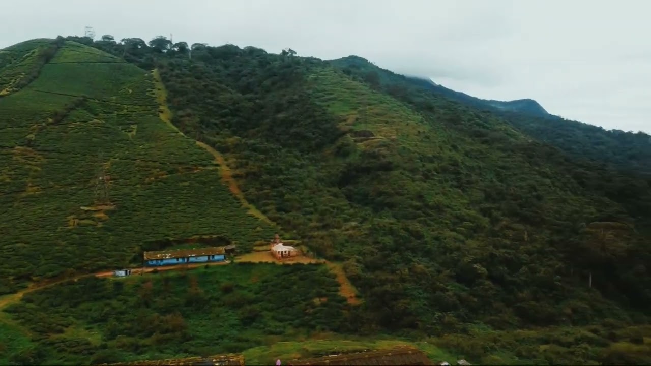 Nature Love😎😎 drone shot 