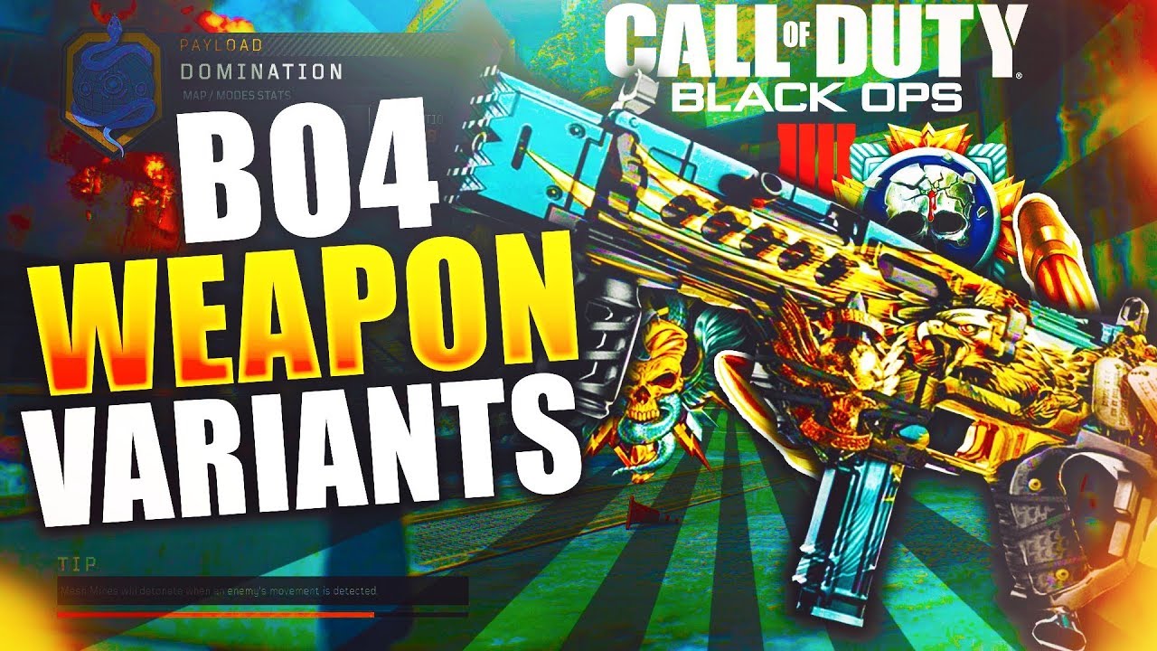 VARIANTS in BLACK OPS 4!?... (SIGNATURE WEAPONS)