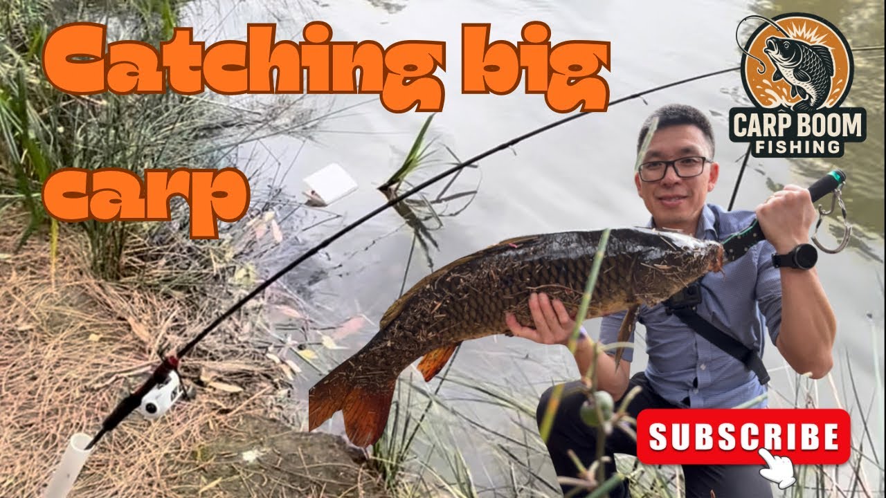 Catching a big monster carp