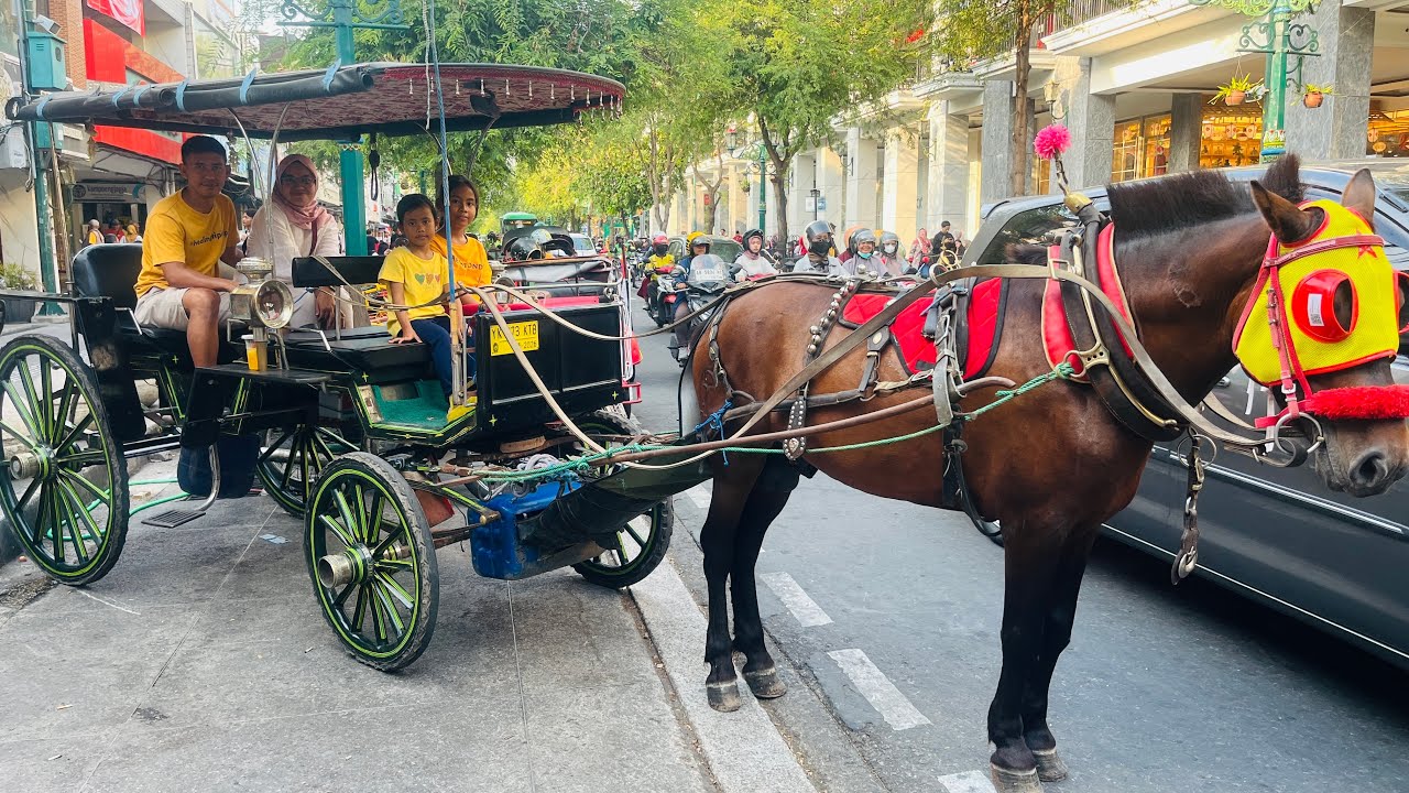 NAIK DELMAN BERKELILING MALIOBORO 😍 #yogyakarta #malioboro #delman