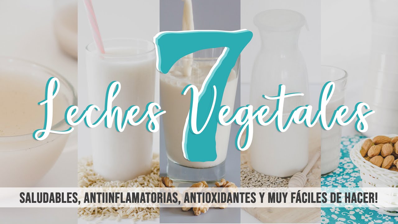 ✅ ¿Como hacer LECHES VEGETALES? 7 recetas fáciles y rápidas 🥛 Leches Veganas