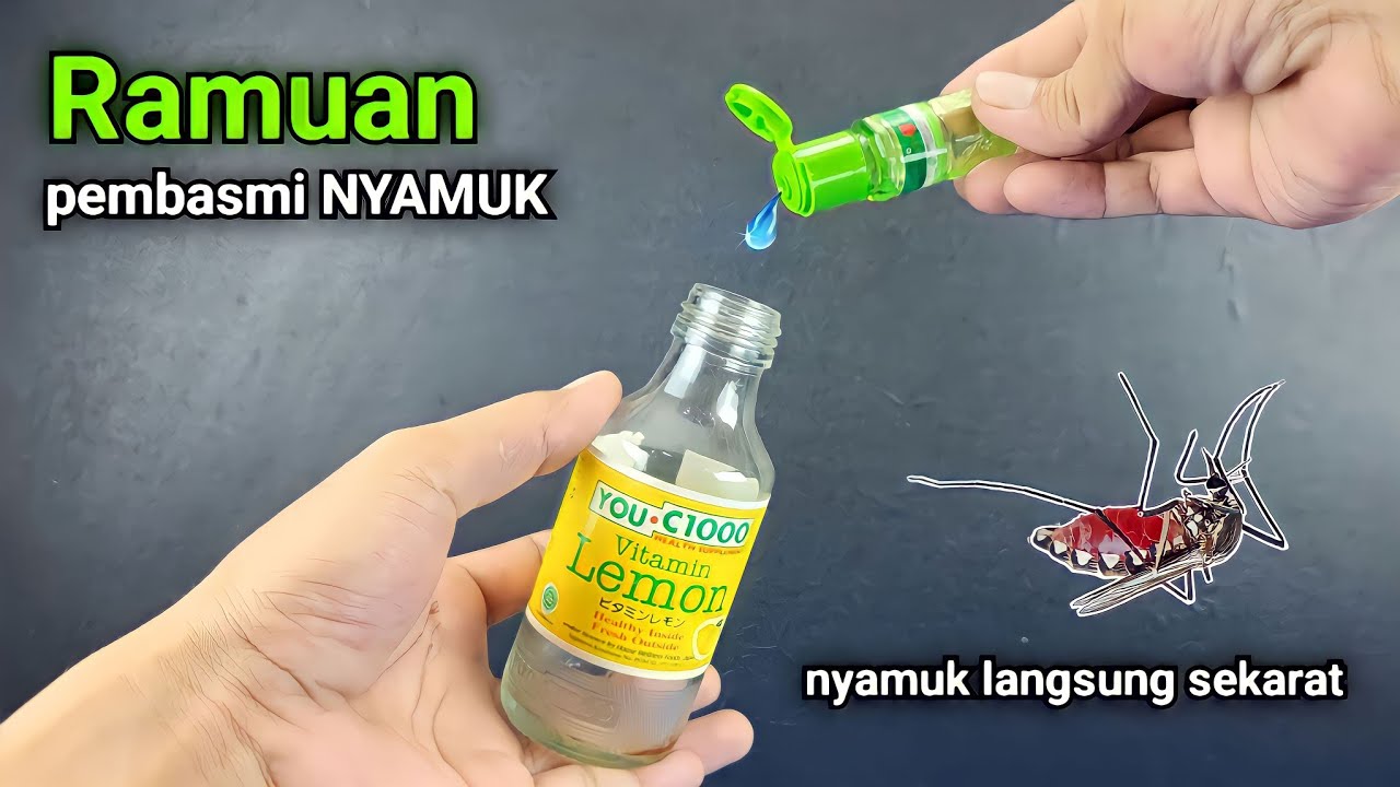 RAHASIA agar rumah BEBAS NYAMUK selamanya !!!