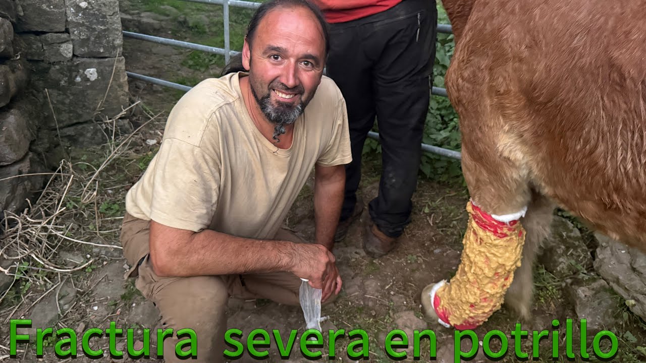 Arreglamos fractura con huevos y harina