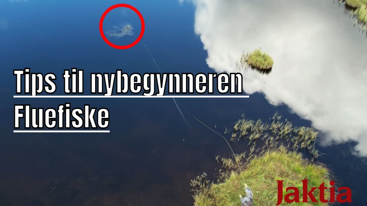Fluefiske - tips nybegynner: valg av fluer, kroking og inntrekk av fisk
