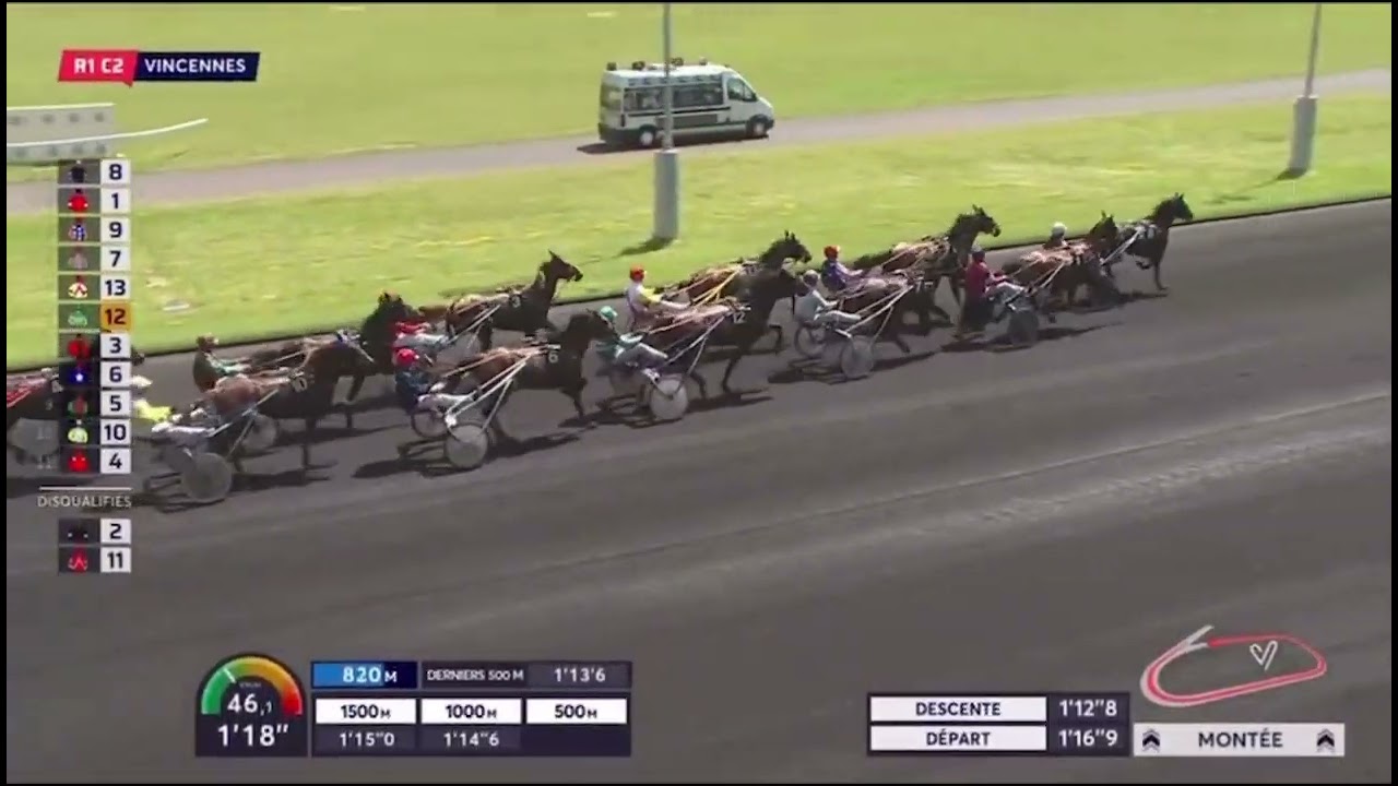 Jushua Tree - Des débuts á la victoire du Prix Bold Eagle Gr1, toutes Les Victoires et classements