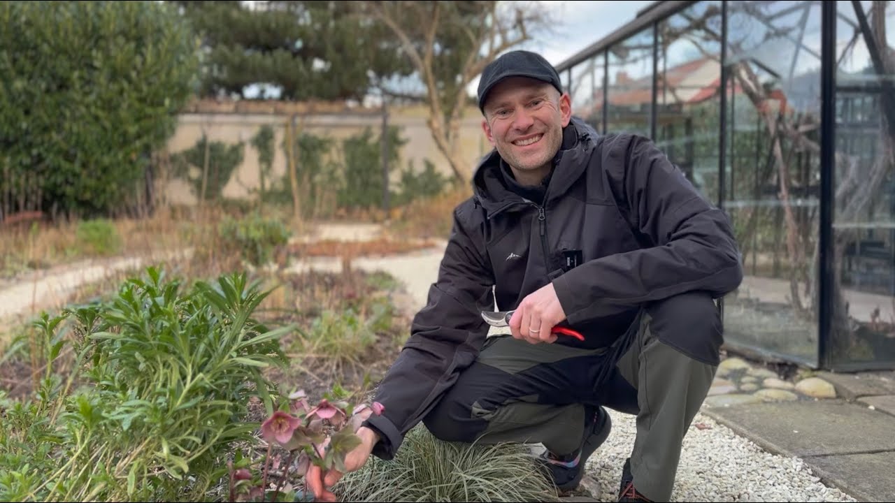 Winter Sowing Update + Spring Garden Cleanup | Perennial Garden