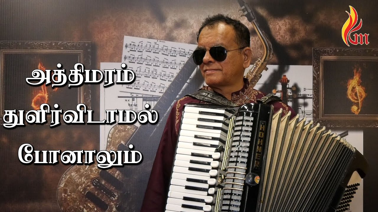 Athimaram Thulir – அத்திமரம் துளிர்விடாமல் | Patrick Rosario | Accordion Solo