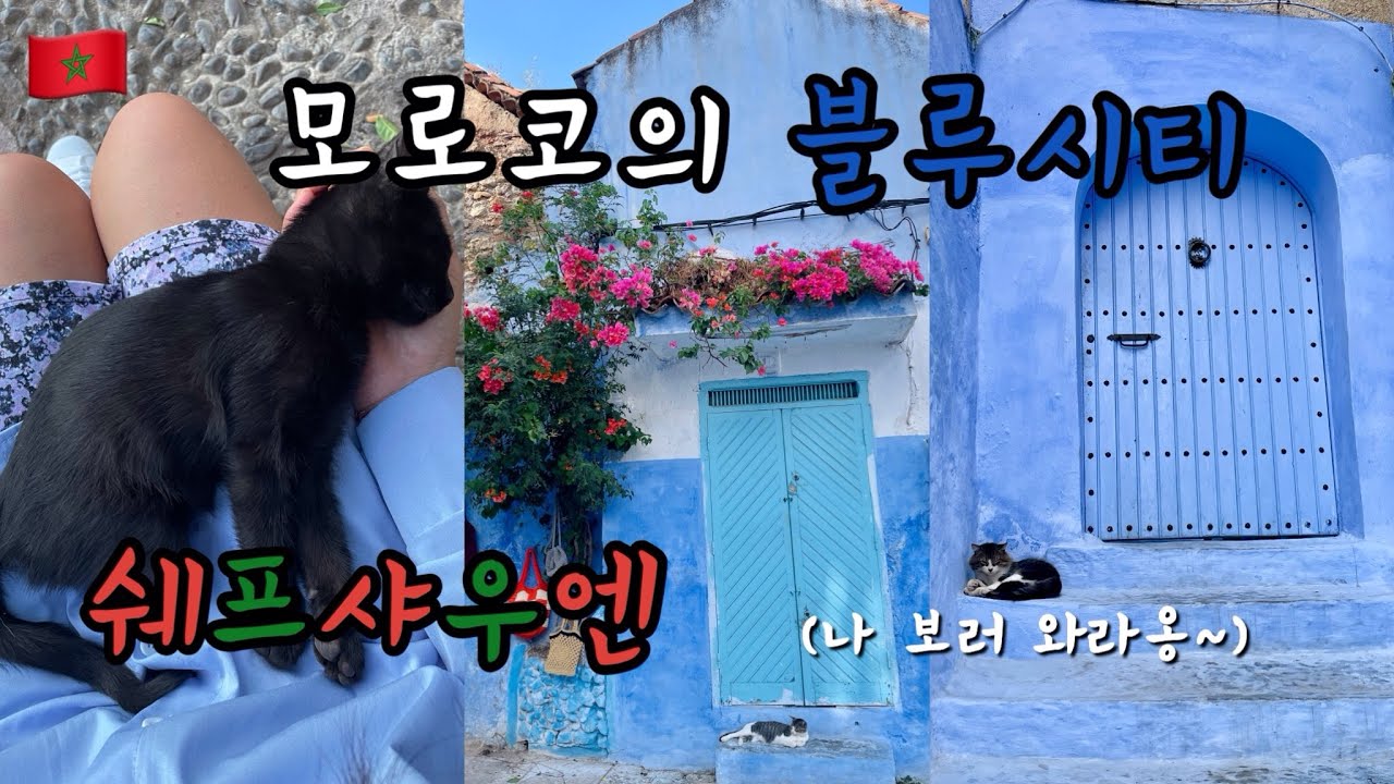 모로코 블루시티🇲🇦스머프 마을이라고도 불린다는 쉐프샤우엔ㅣ고양이의 도시😻 