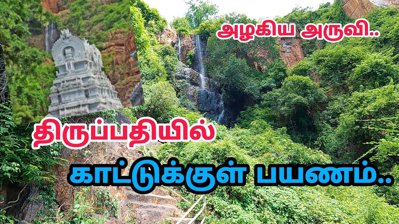 திருப்பதி காட்டில் பயணம் - Hidden Place in Tripathi - Jungle Book Park
