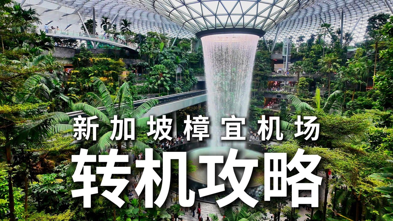 新加坡樟宜机场转机攻略｜超清晰流程及注意事项
