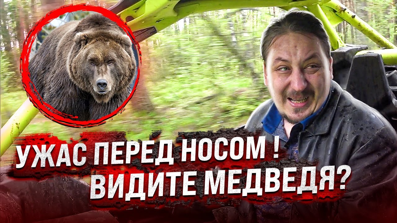ВИДИТЕ МЕДВЕДЯ? УЖАС ПЕРЕД НОСОМ! Обзор берлоги, багги сломался!
