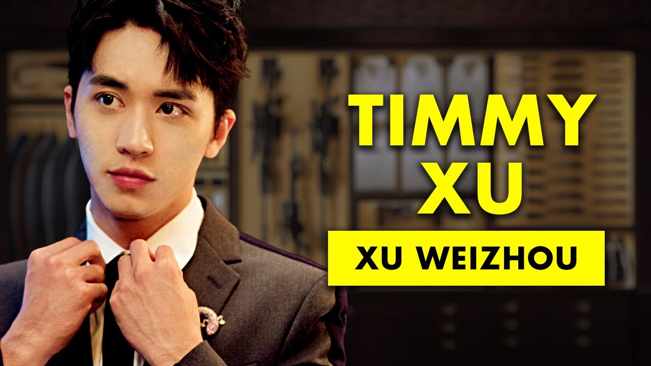 Who is Timmy Xu (aka Xu Weizhou)? Profile & Biography