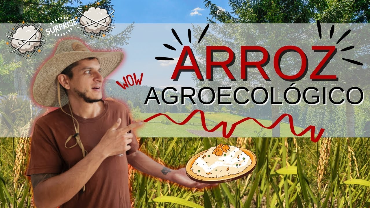 ☘️¡Descubre el Secreto! 🌱De Cómo CULTIVAR De Manera ORGANICA con Éxito